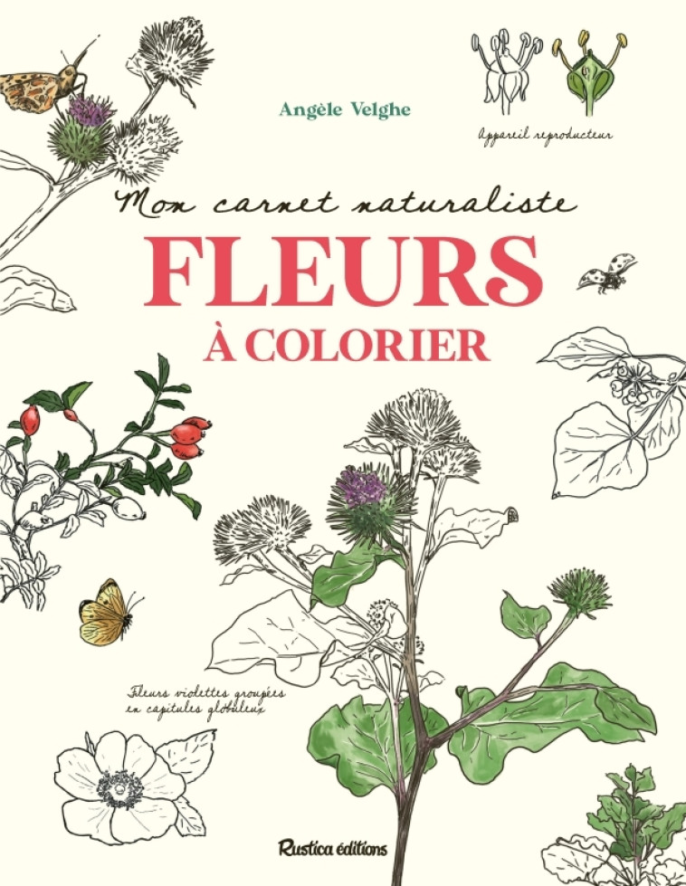 Mon carnet naturaliste Fleurs à colorier - Angèle Velghe - RUSTICA