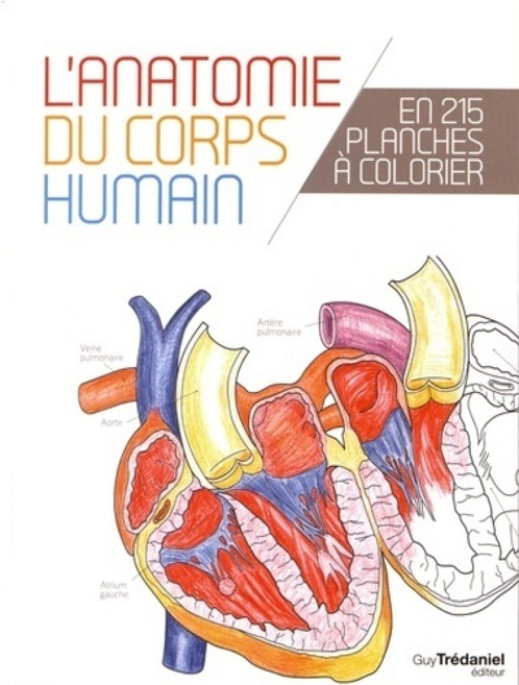 L'anatomie du corps humain en 25 planches à colorier - Collectif Collectif,  Collectif - TREDANIEL