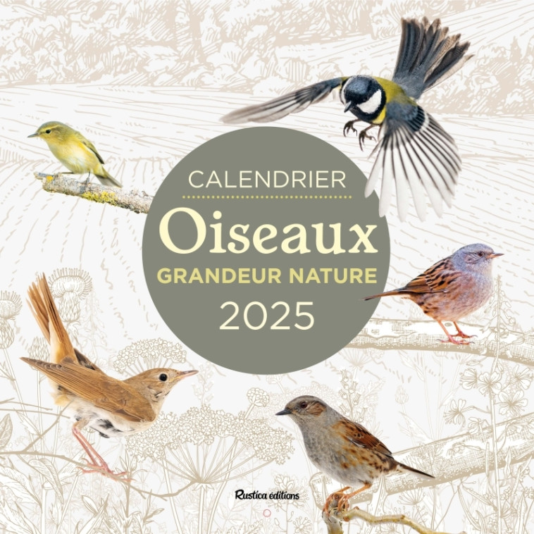 Calendrier 2025 oiseaux grandeur nature - Guilhem Lesaffre - RUSTICA