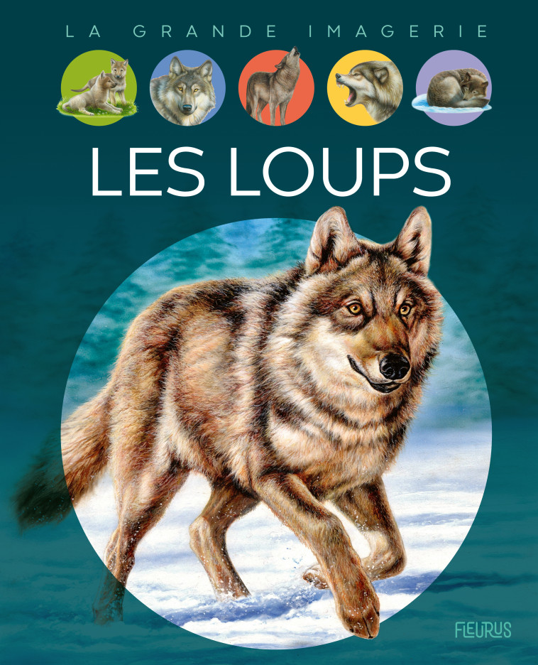 Les loups - Agnès Vandewiele, Bernard ALUNNI, Marie-Christine Lemayeur - FLEURUS