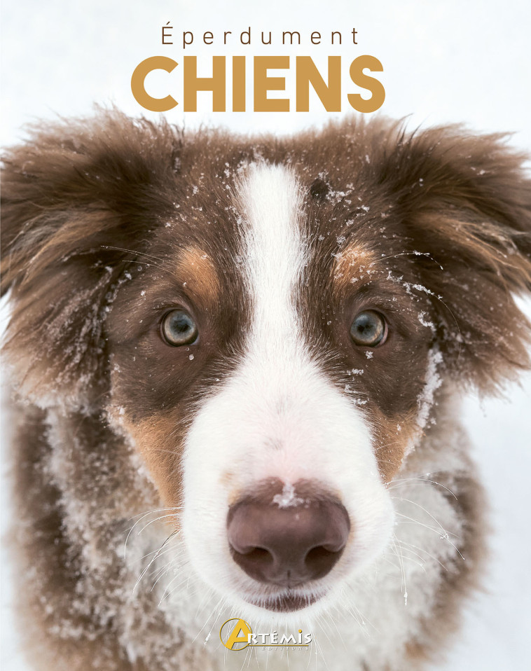 Éperdument chiens -  Jackson tom, Tom Jackson,  Collectif,  HORS COLL - ARTEMIS