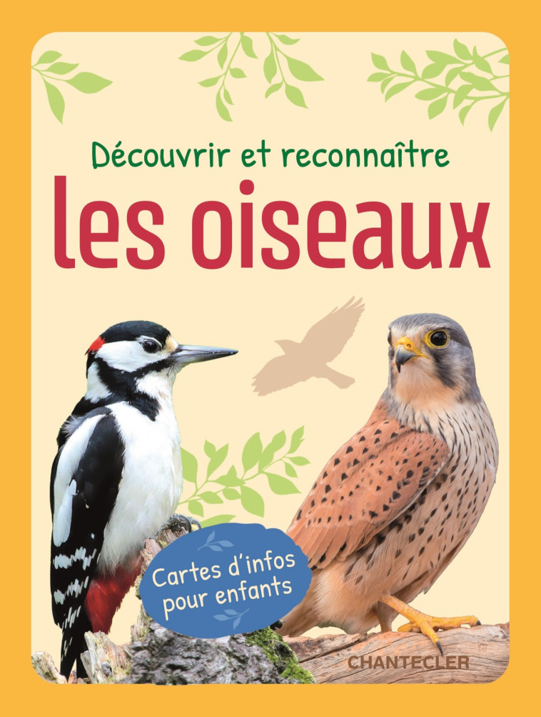 Découvrir et reconnaître les oiseaux (boîte) -  Collectif, PETRA THEISSEN, PETRA, PETRA THEISSEN, PETRA - CHANTECLER