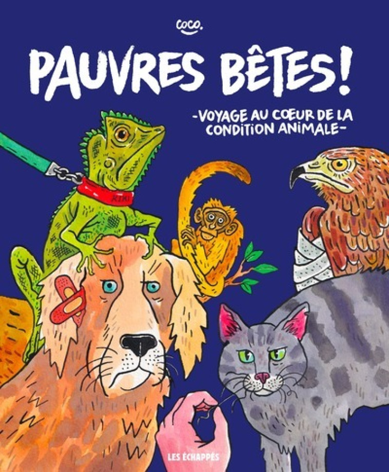 Pauvres bêtes ! - . Coco - ECHAPPES