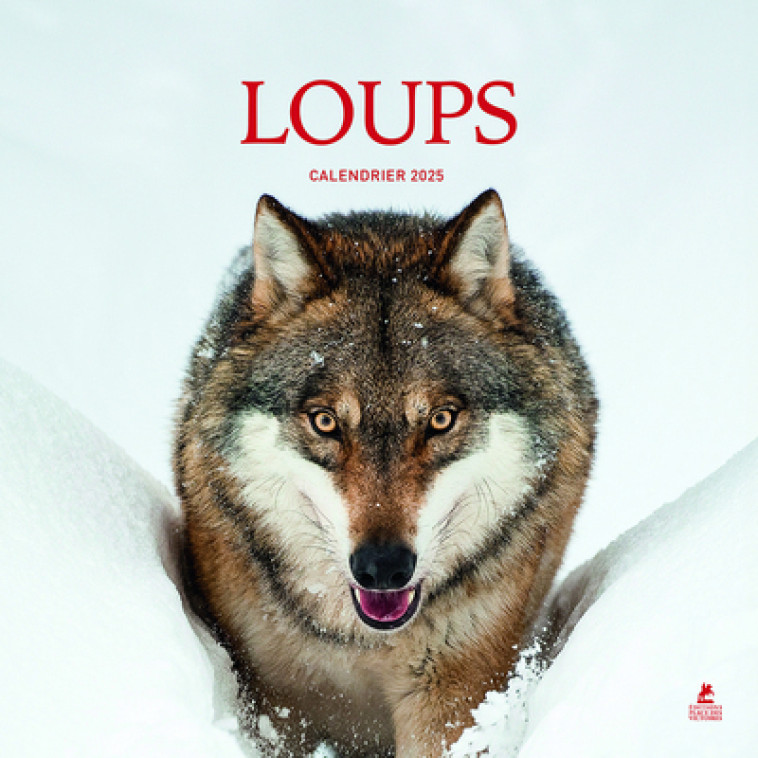 Loup - Calendrier 2025 - Collectif Collectif,  Collectif - PLACE VICTOIRES