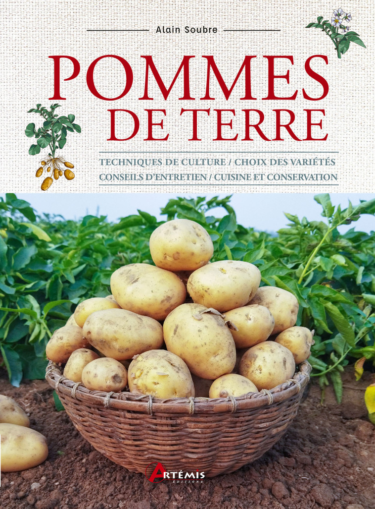 Pommes de terre - Alain Soubre,  A. SOUBRE - ARTEMIS