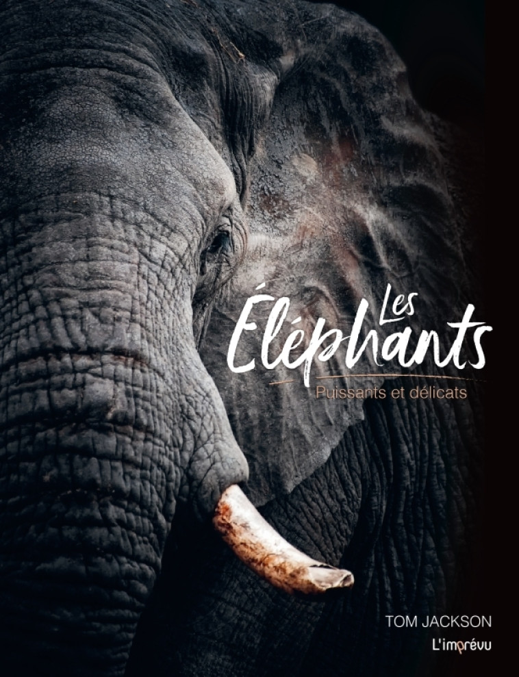 Les éléphants - Puissants et délicats - Tom Jackson, Chantal Mitjaville - L IMPREVU