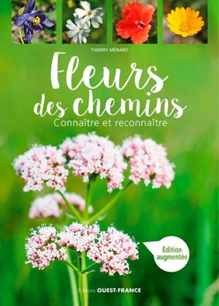 Fleurs des chemins - Thierry MENARD - OUEST FRANCE