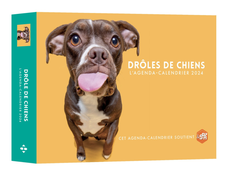 Agenda - Calendrier Drôles de chiens 2024 -   - HUGO IMAGE