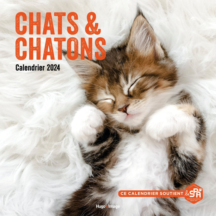 Calendrier mural chats et chatons 2024 -   - HUGO IMAGE