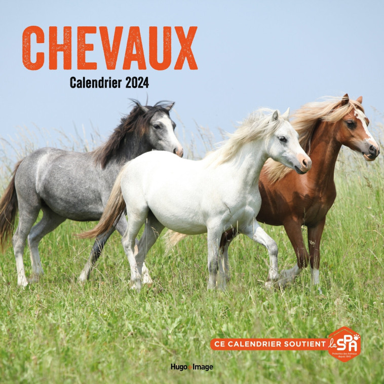 Calendrier mural chevaux 2024 -   - HUGO IMAGE