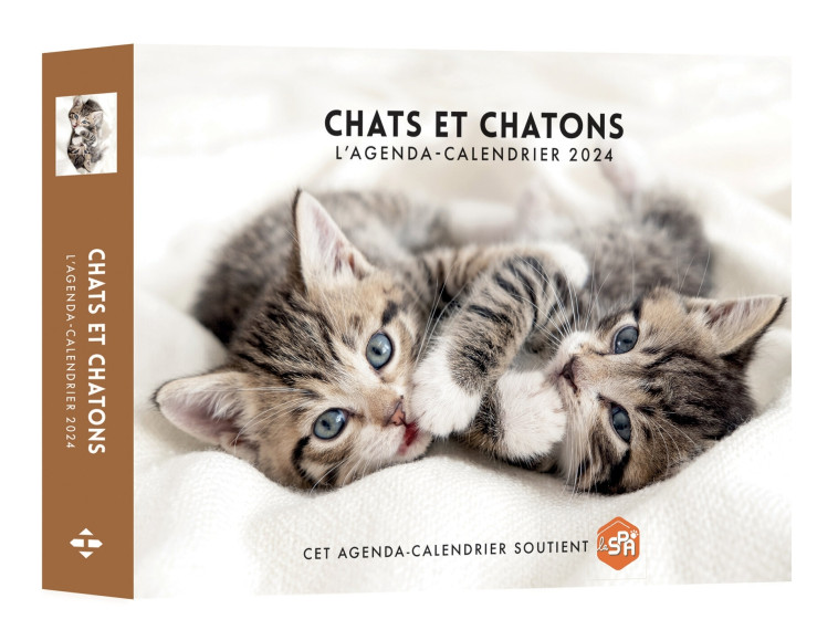 Agenda - Calendrier Chats et chatons 2024 - Aco Aco,   - HUGO IMAGE