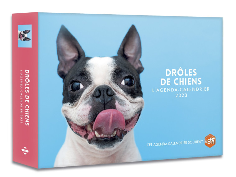 Agenda - Calendrier drôles de chiens 2023 -   - HUGO IMAGE