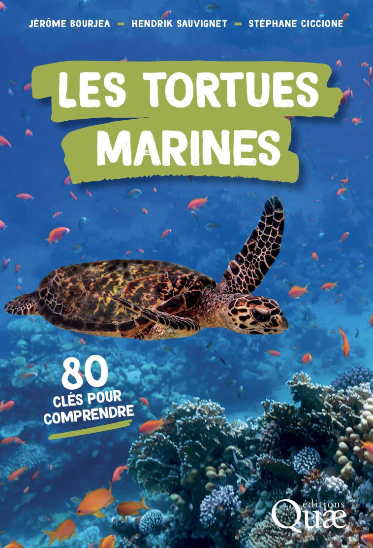 Les tortues marines - Stéphane Ciccione, Hendrik Sauvignet, Jérôme Bourjea - QUAE