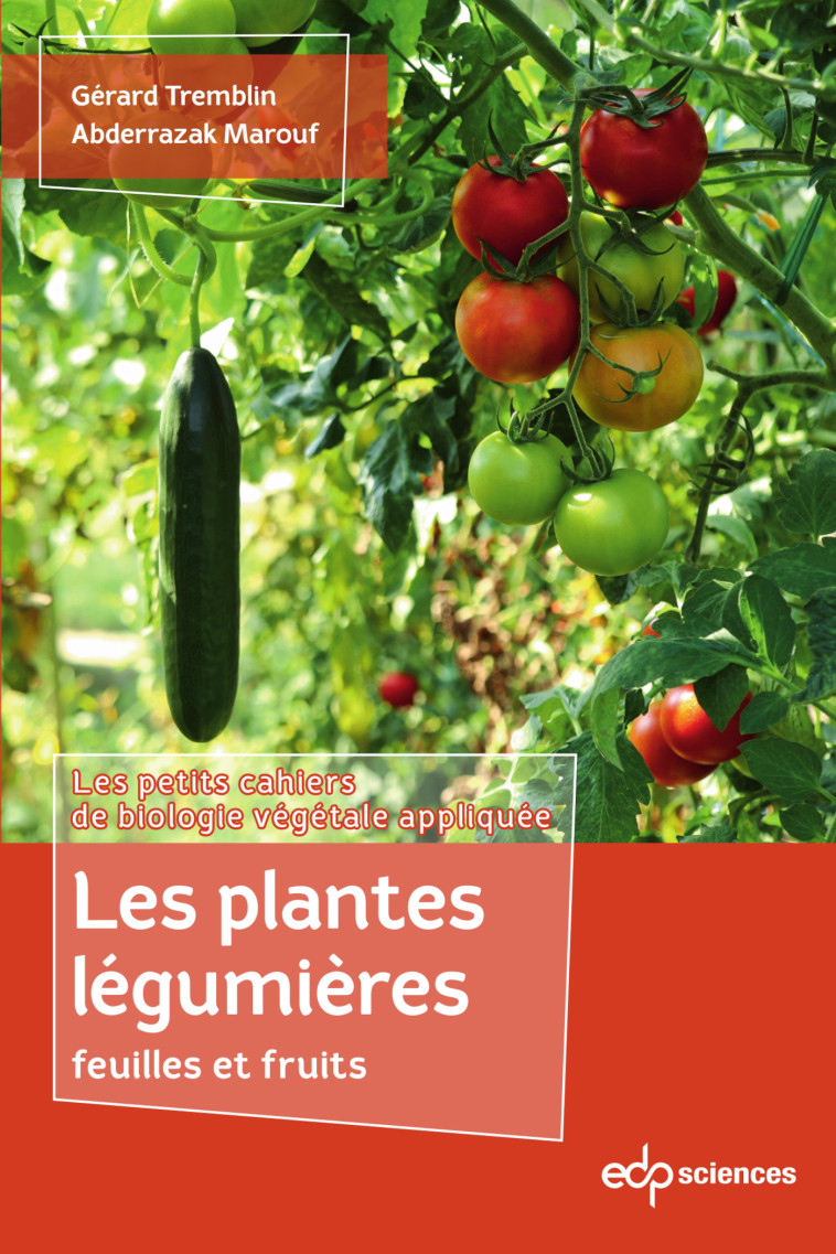 Les plantes légumières feuilles et fruits - Abderrazak Marouf, Gérard Tremblin - EDP SCIENCES