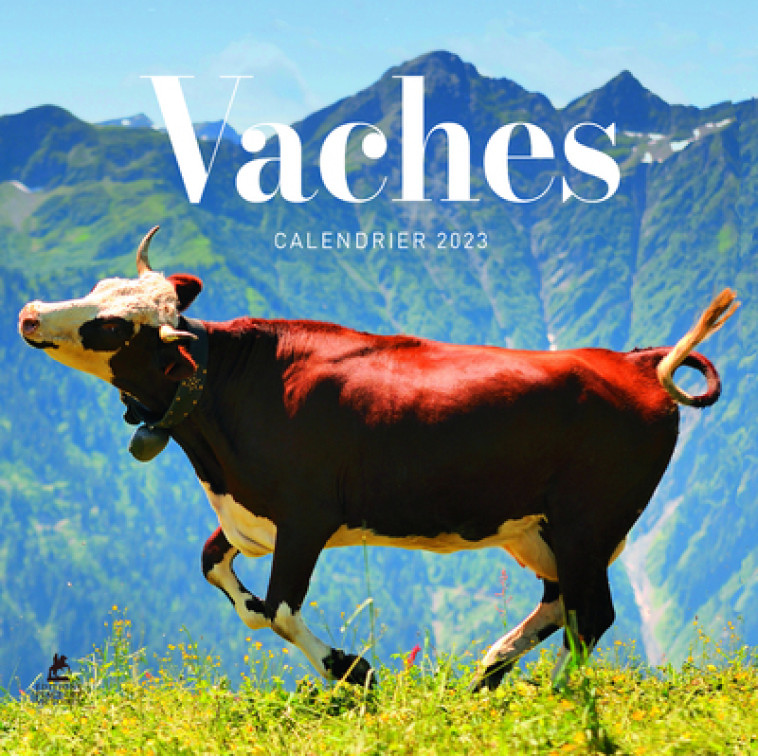 Vaches - Calendrier 2023 - Collectif Collectif - PLACE VICTOIRES