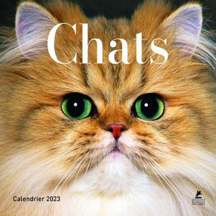 Calendrier Chats - Calendrier 2023 - Collectif Collectif - PLACE VICTOIRES