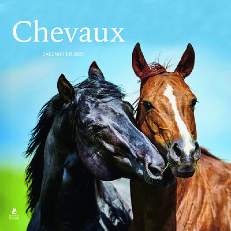 Chevaux - Calendrier 2025 - Collectif Collectif,  Collectif - PLACE VICTOIRES