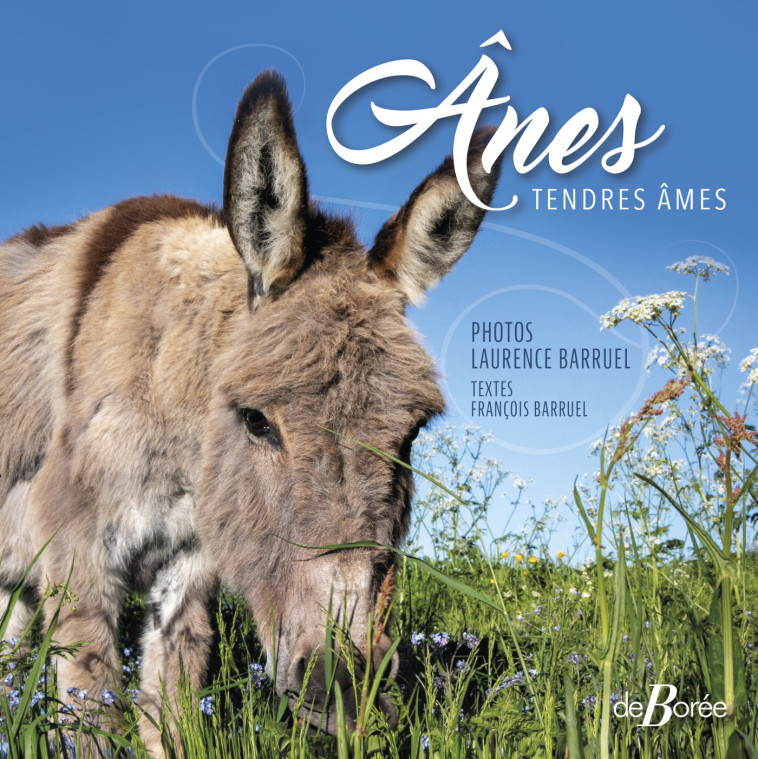 Ânes - Tendres âmes - FRANCOIS BARRUEL, Laurence Barruel - DE BOREE