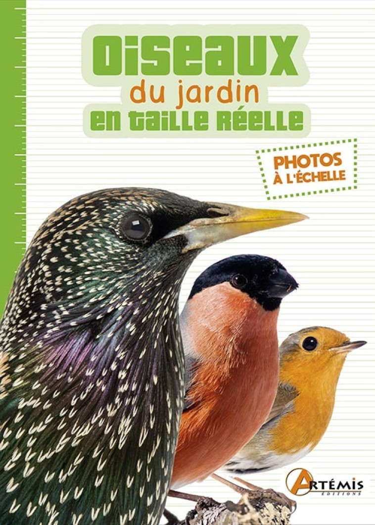 Les oiseaux du jardin en taille réelle -  Collectif - ARTEMIS