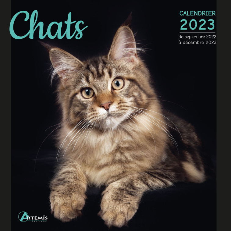 CALENDRIER CHATS 2023 -  Collectif - ARTEMIS