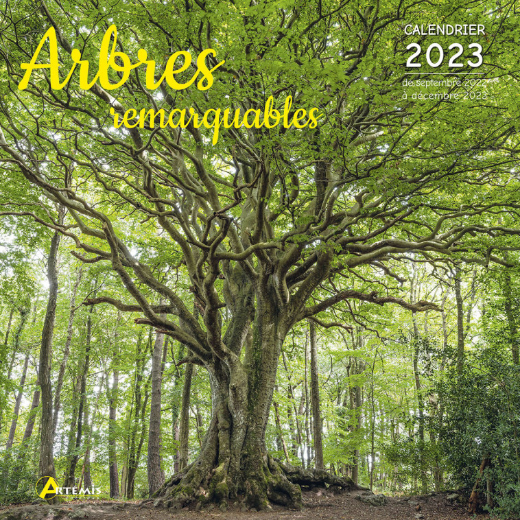 Calendrier arbres remarquables 2023 -  Collectif - ARTEMIS