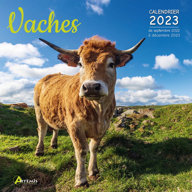 Calendrier vaches 2023 -  Collectif - ARTEMIS