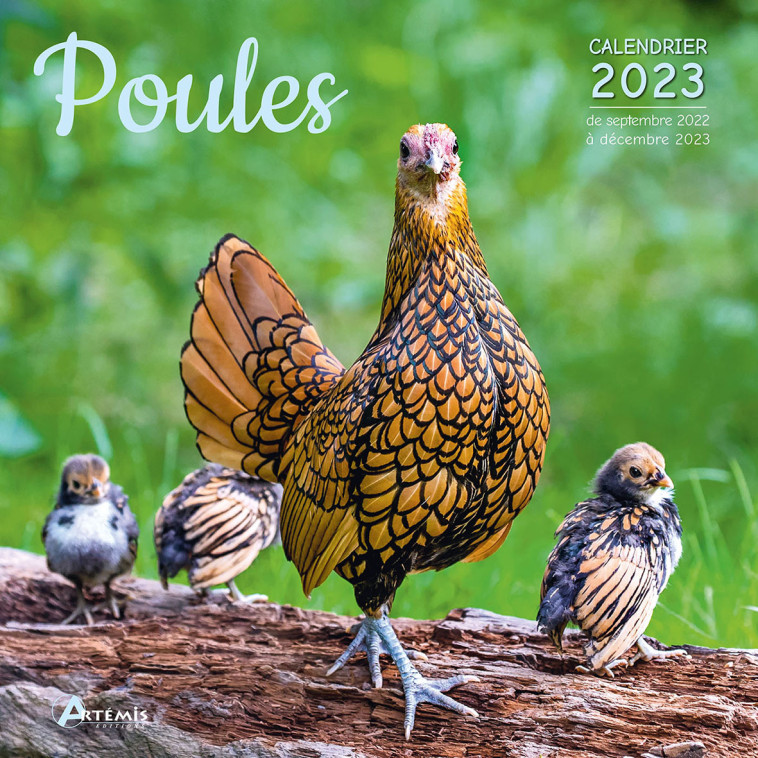 Calendrier poules 2023 -  Collectif - ARTEMIS