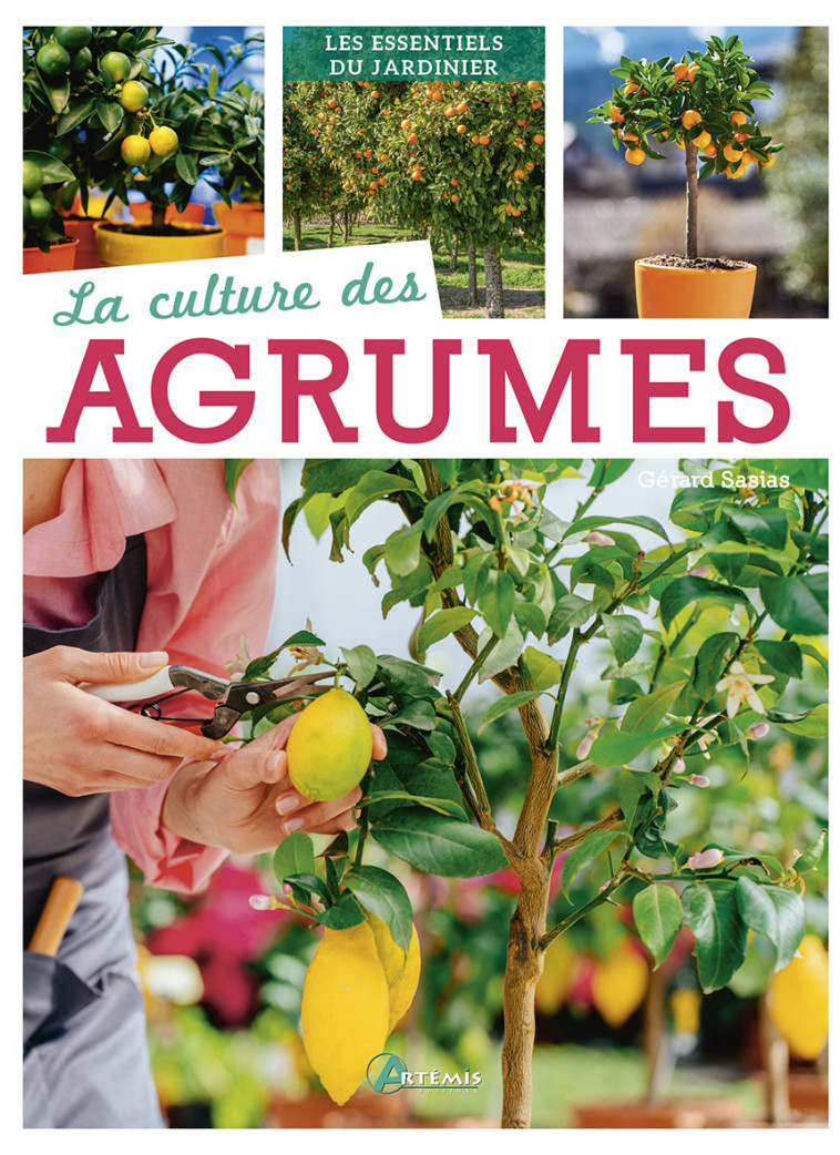 La culture des agrumes -  Collectif - ARTEMIS