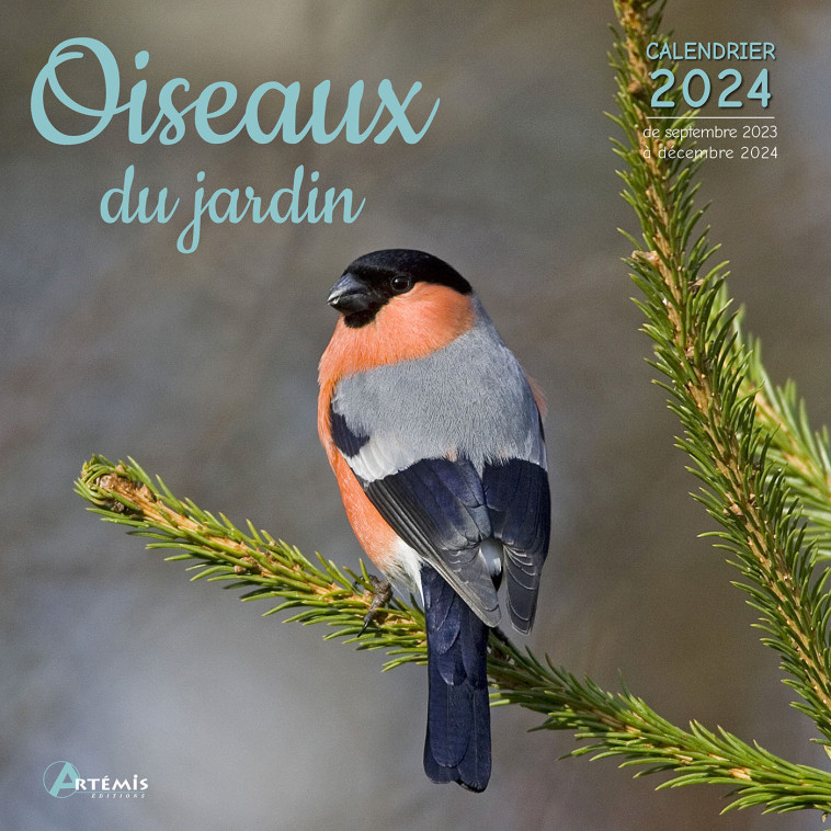 CALENDRIER OISEAUX DU JARDIN 2024 -  Collectif - ARTEMIS