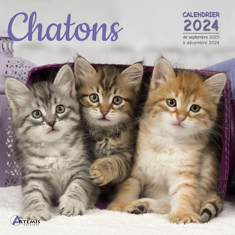 Calendrier Chatons 2024 -  Collectif - ARTEMIS