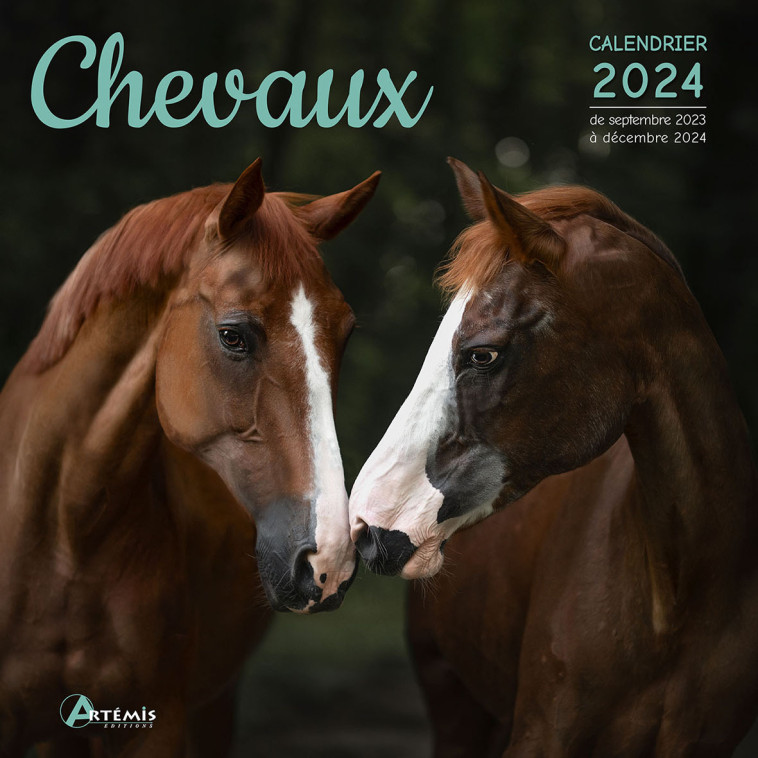 Calendrier Chevaux 2024 -  Collectif - ARTEMIS