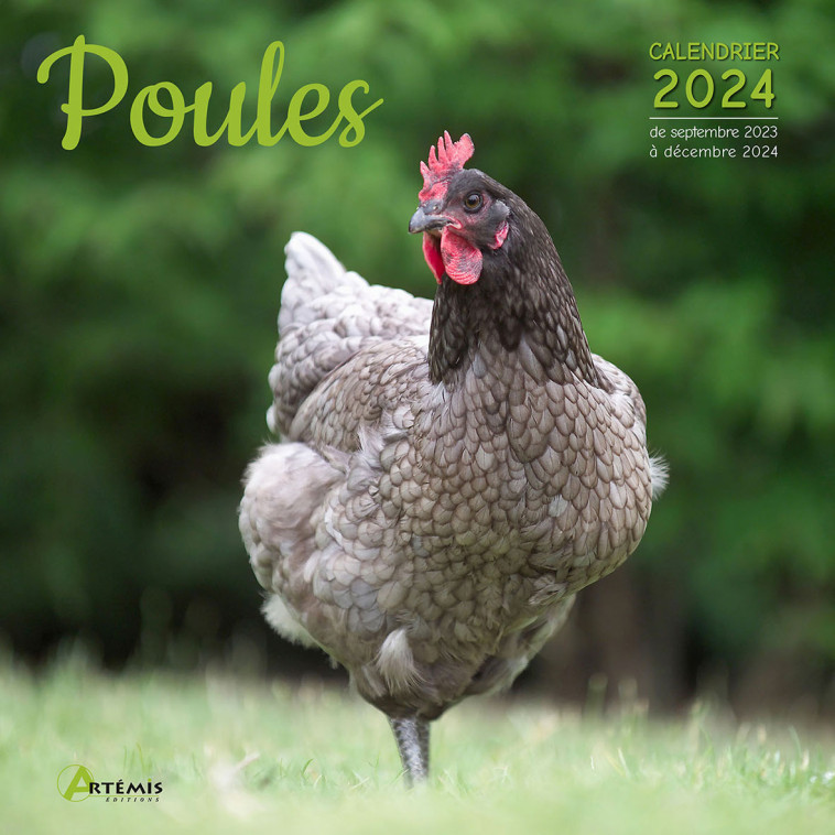 Calendrier Poules 2024 -  Collectif - ARTEMIS