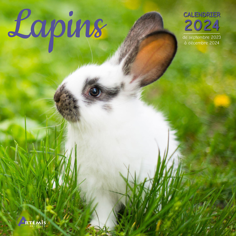 Calendrier Lapins 2024 -  Collectif - ARTEMIS