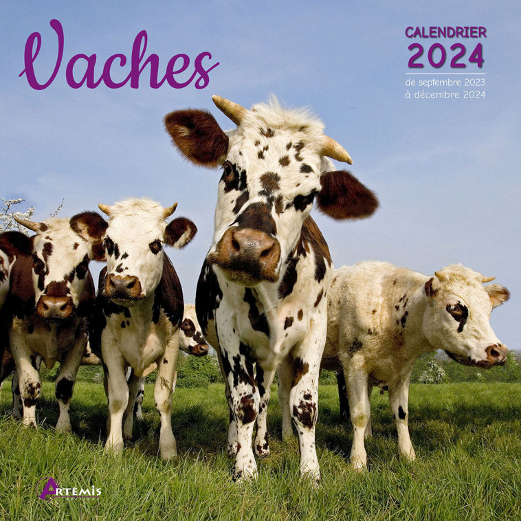 Calendrier Vaches 2024 -  Collectif - ARTEMIS