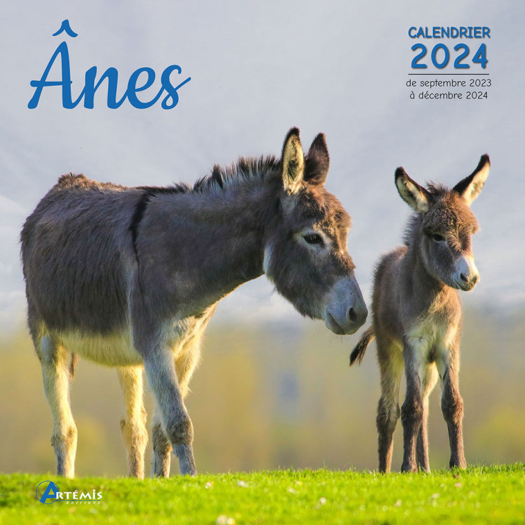 Calendrier Ânes 2024 -  Collectif - ARTEMIS