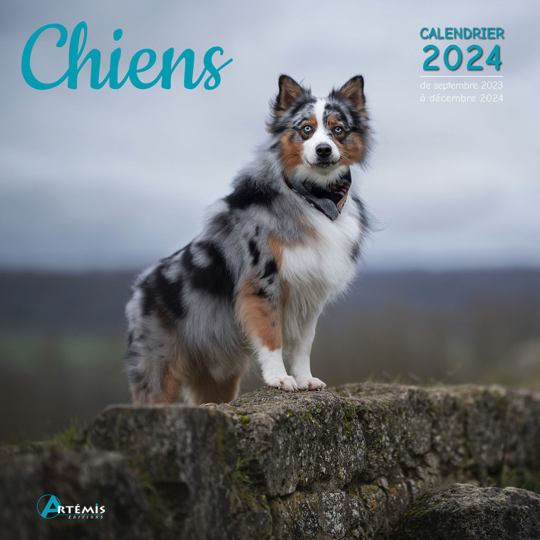 CALENDRIER CHIENS 2024 -  Collectif - ARTEMIS