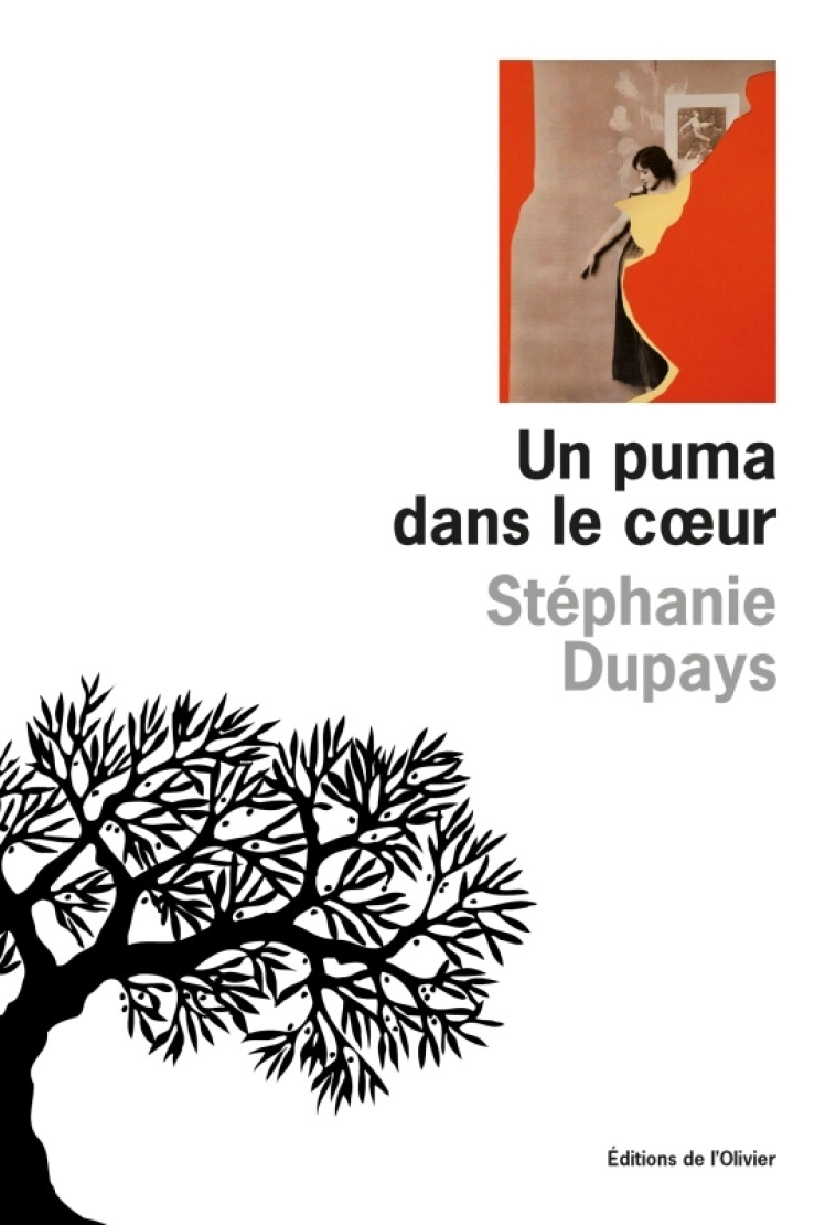 Un puma dans le coeur - Stéphanie Dupays - OLIVIER