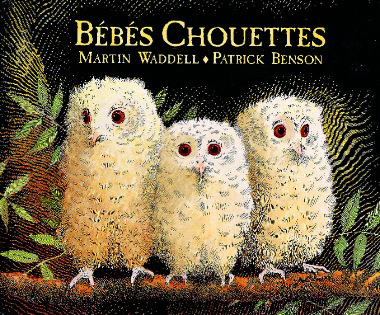 bebes chouettes - Martin WADELL, Patrick Benson, Isabel Finkenstaedt - KALEIDOSCOPE