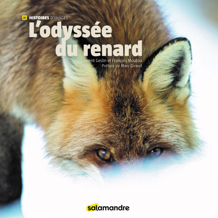 L'Odyssée du renard - Laurent Geslin - LA SALAMANDRE