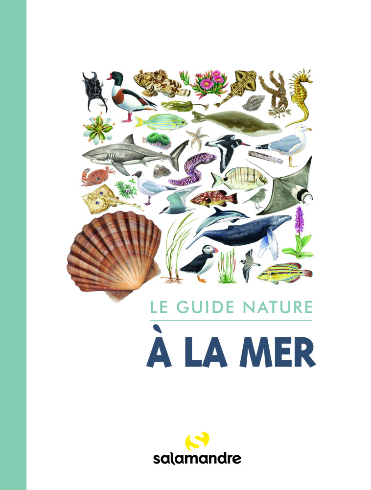 Le guide nature à la mer  -  Collectif - LA SALAMANDRE