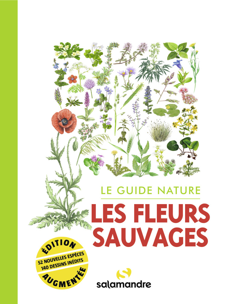 Le guide nature Les fleurs sauvages  -  Collectif - LA SALAMANDRE