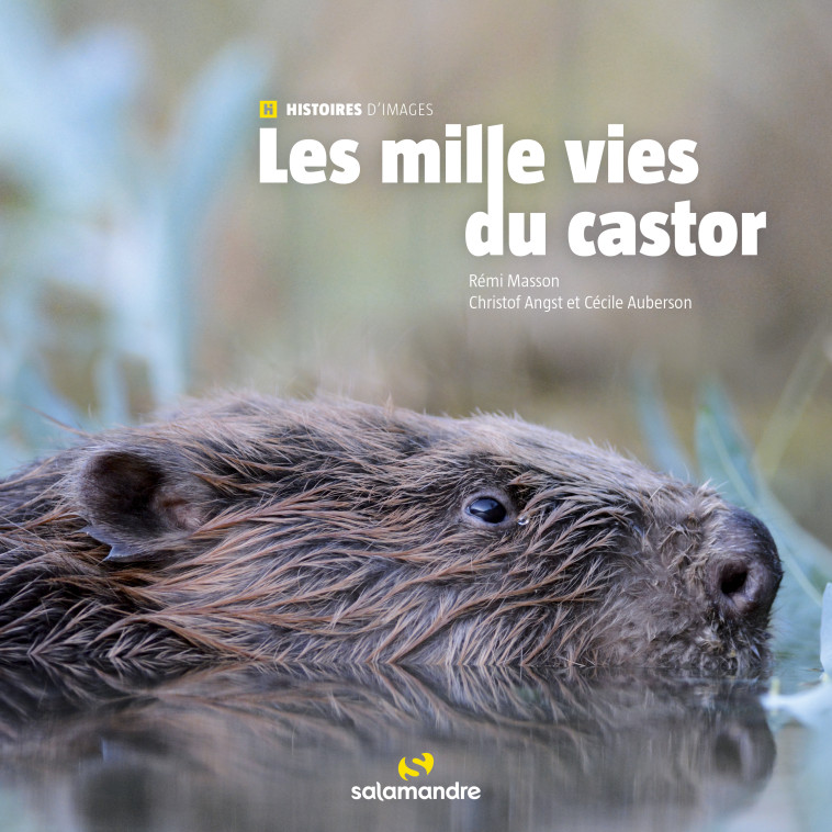 Les milles vies du castor - Rémi MASSON, Christof Angst, Cécile Auberson - LA SALAMANDRE