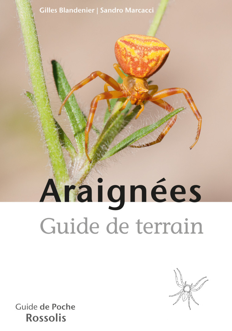 Araignées, guide de terrain - Sandro MARCACCI, Gilles Blandenier - ROSSOLIS