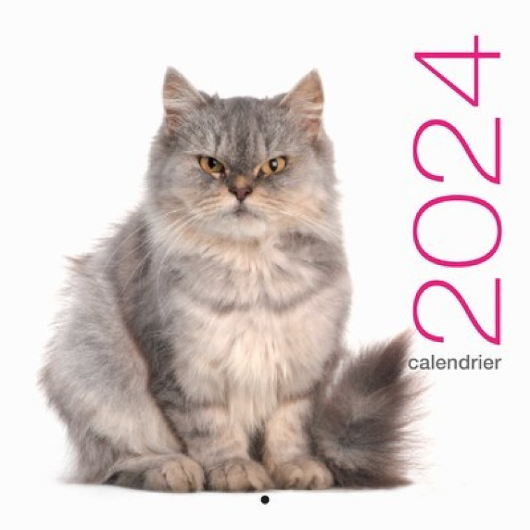 Calendrier mural 2024 Chats - Collectif Collectif - WHITE STAR