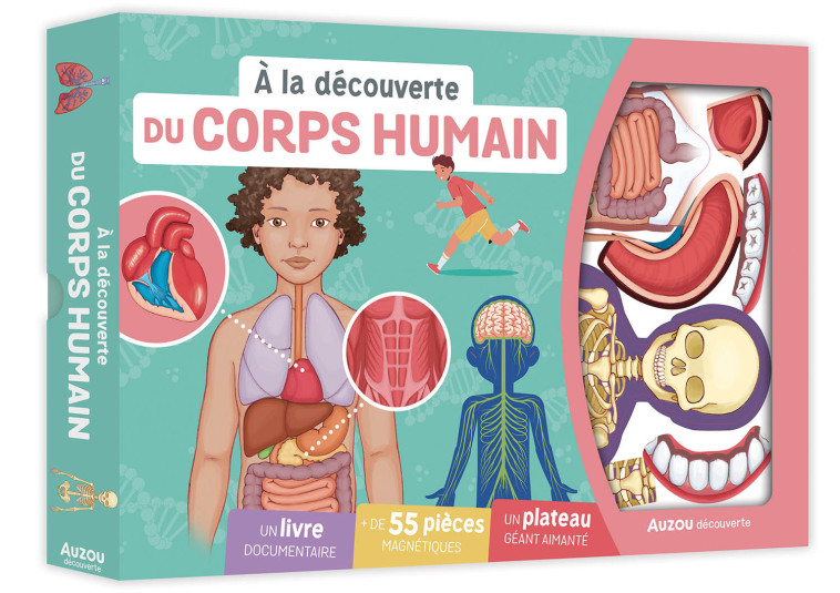 A LA DÉCOUVERTE DU CORPS HUMAIN - Adèle Pedrola, Amandine Wanert - AUZOU