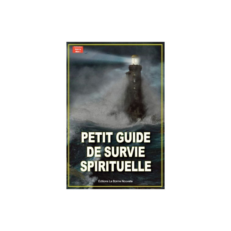 Petit guide de survie spirituelle - Thierry Fourchaud, Thierry Fourchaud - BONNENOUVELLE