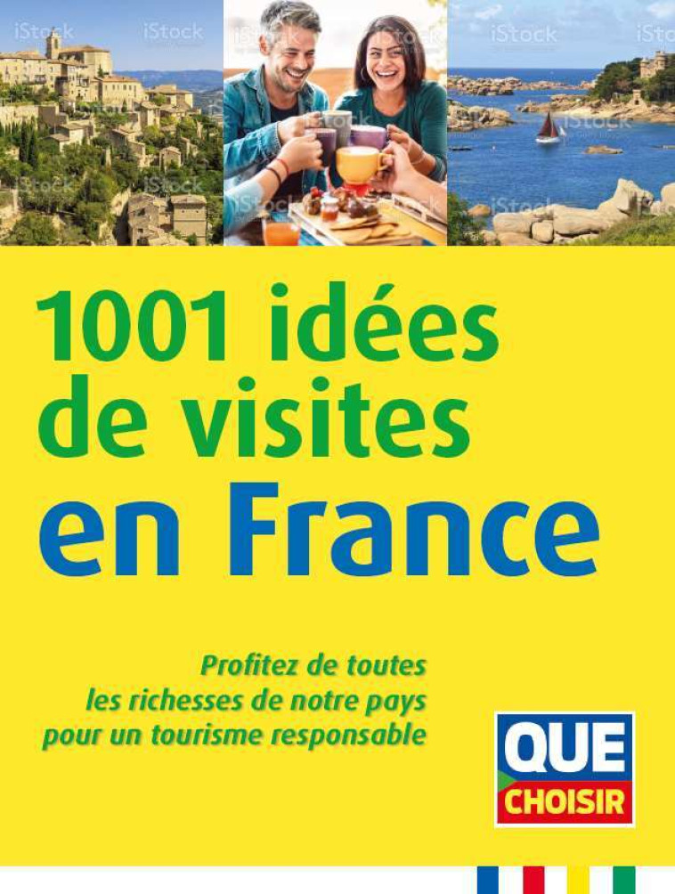 1001 idées de visites en France -  Collectif - QUE CHOISIR