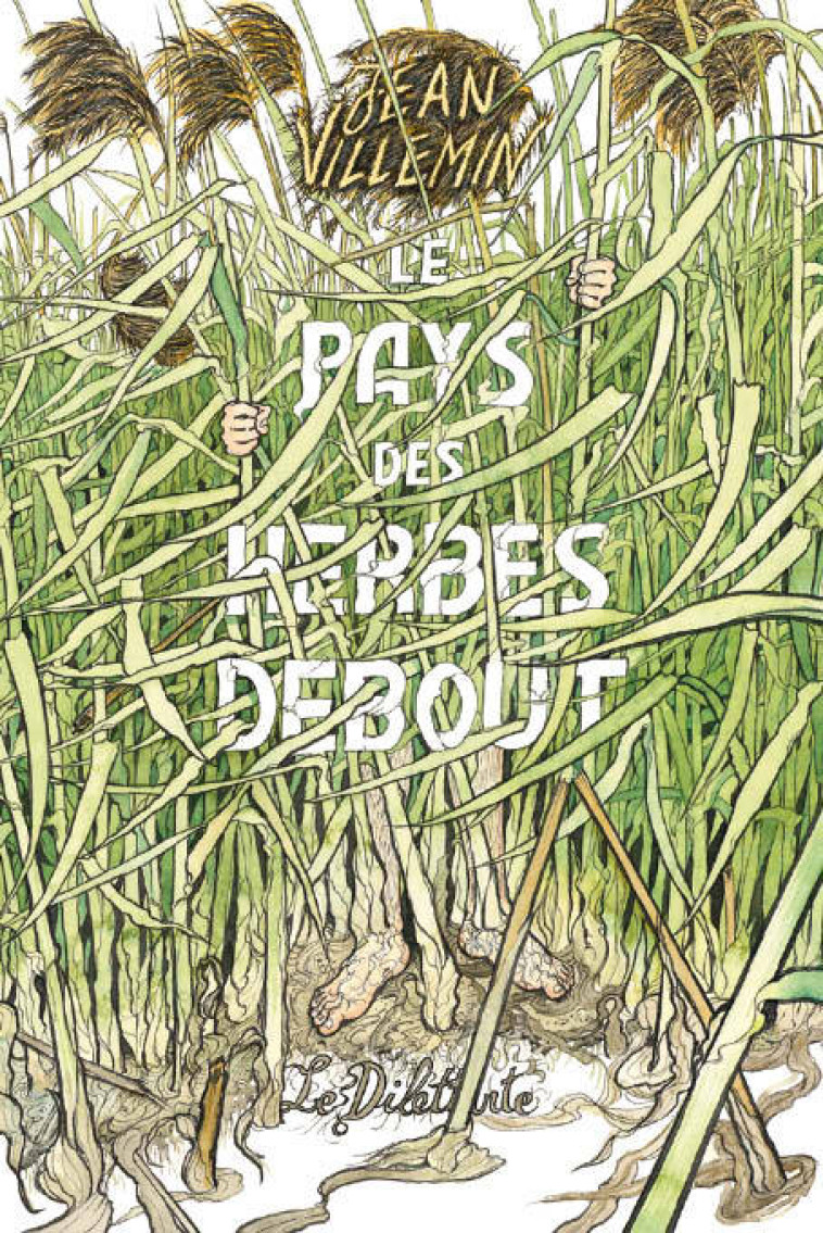 Le Pays des herbes debout - Jean Villemin, Jean Villemin - LE DILETTANTE