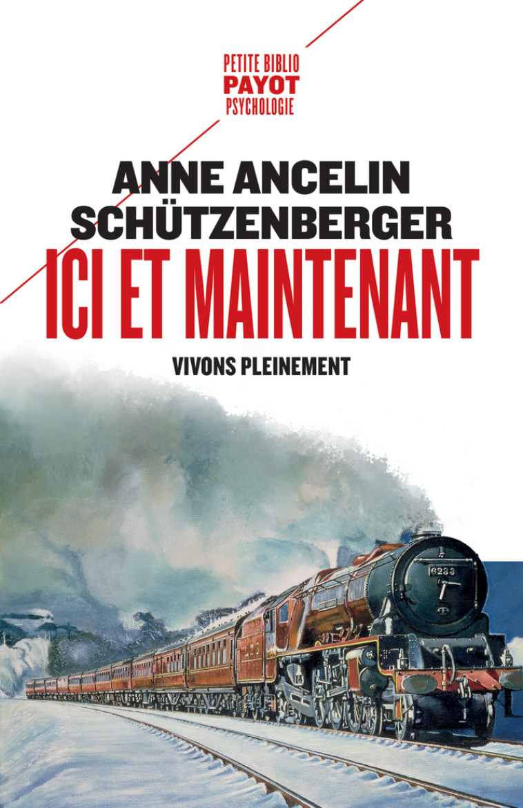 Ici et maintenant - Anne Ancelin schützenberger, Anne Ancelin schützenberger - PAYOT