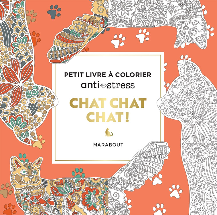 Chat chat chat ! -  ,   - MARABOUT